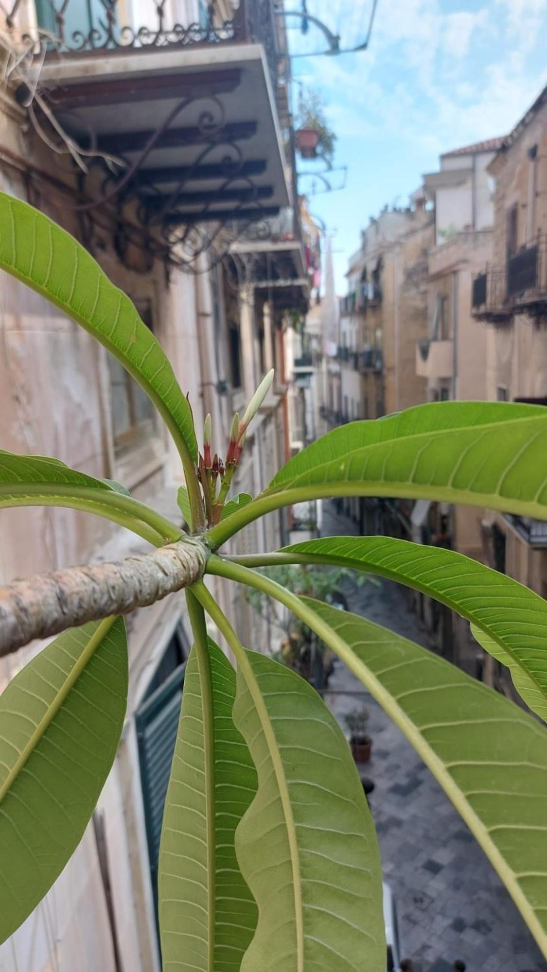 Appartamento A Casa Di Elena Palermo Esterno foto