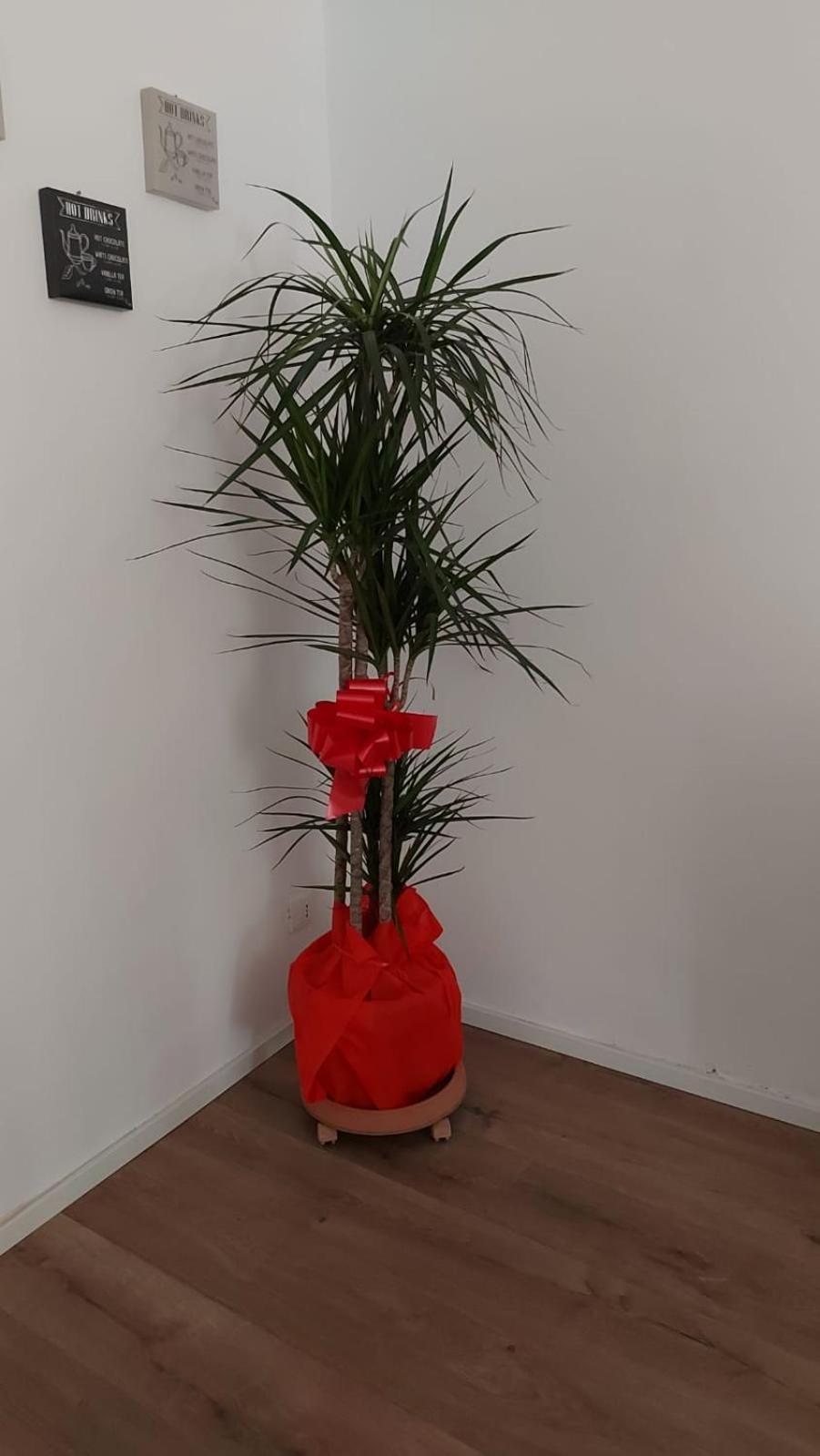 Appartamento A Casa Di Elena Palermo Esterno foto